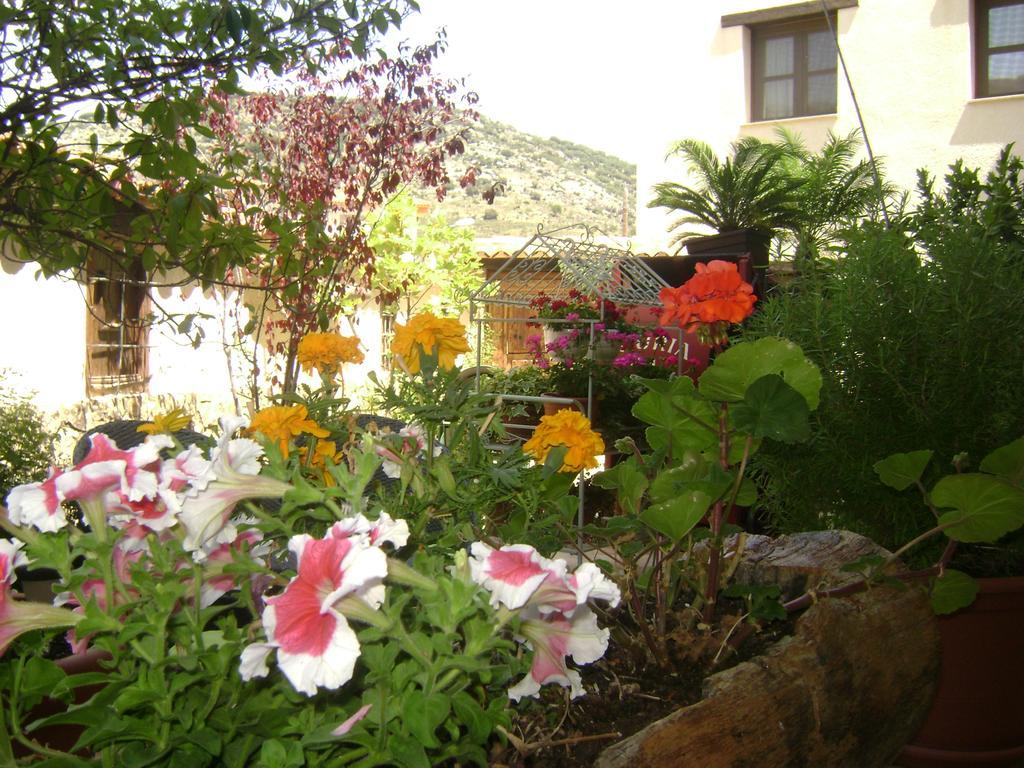 Apartamentos Rurales La Muralla II Canete  Dış mekan fotoğraf